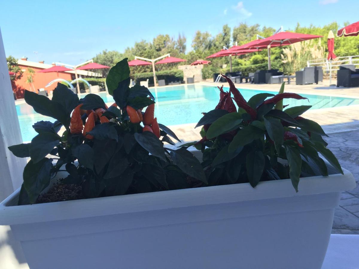 Club Esse Sporting Hotel สตินติโน ภายนอก รูปภาพ